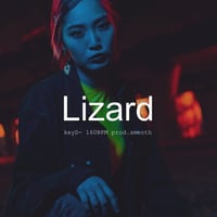 Lizard