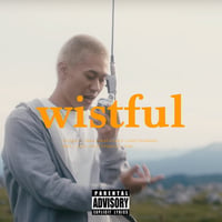 Wistful