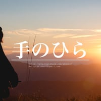 一名様限定独占販売"手のひら"