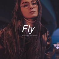 Fly