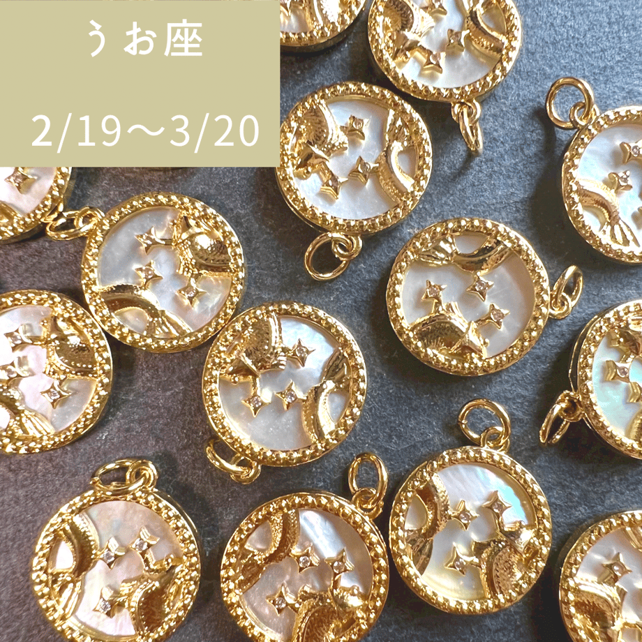 63900adff0bdc42556f8fbd2