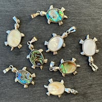 シェル 亀形 りんご形　SV