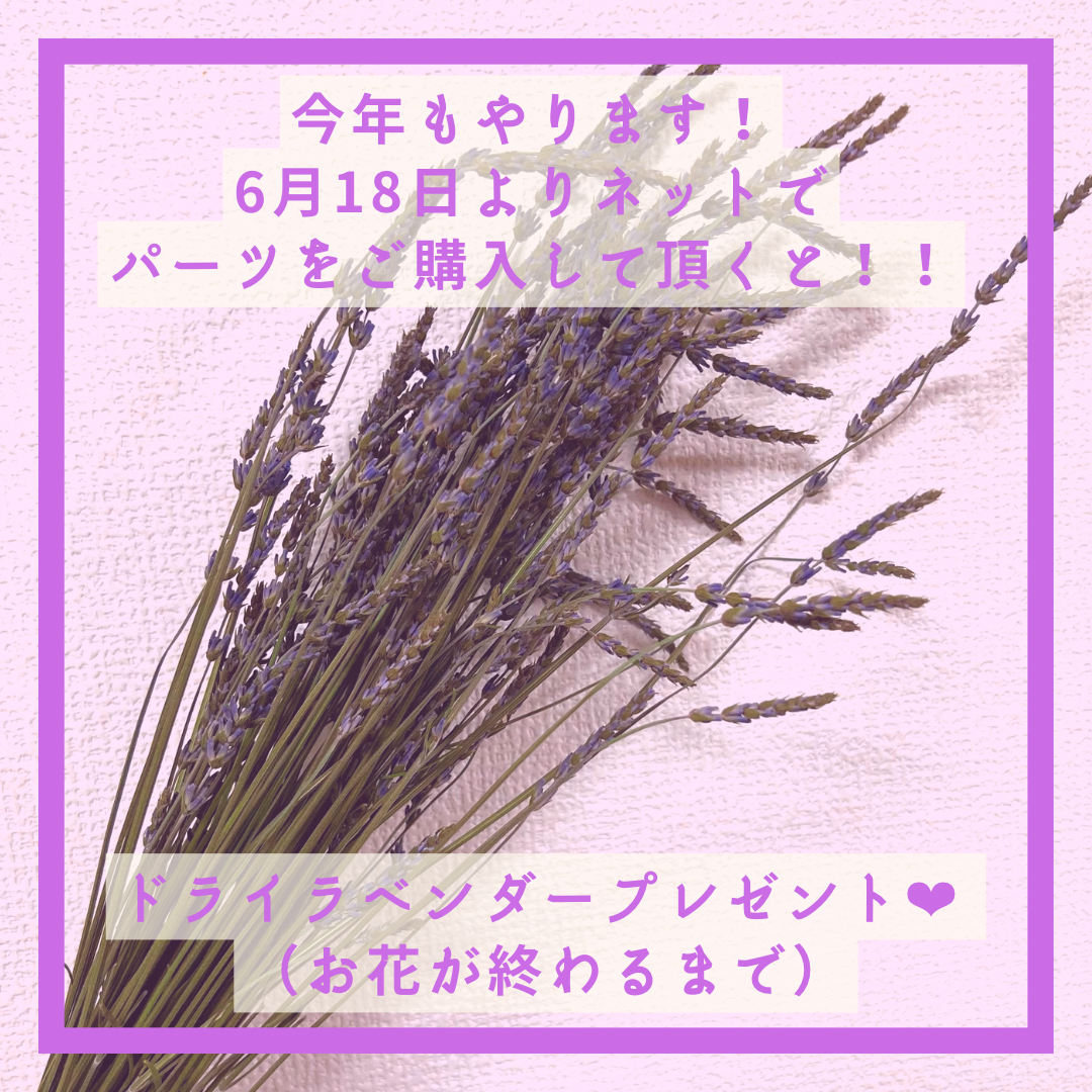 ドライラベンダープレゼント