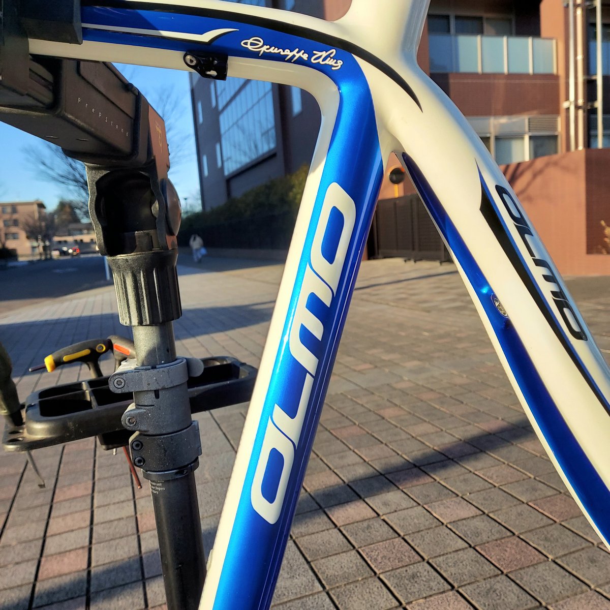イタリア老舗ブランドOLMO🇮🇹カーボンロードバイクフレームXXLサイズ