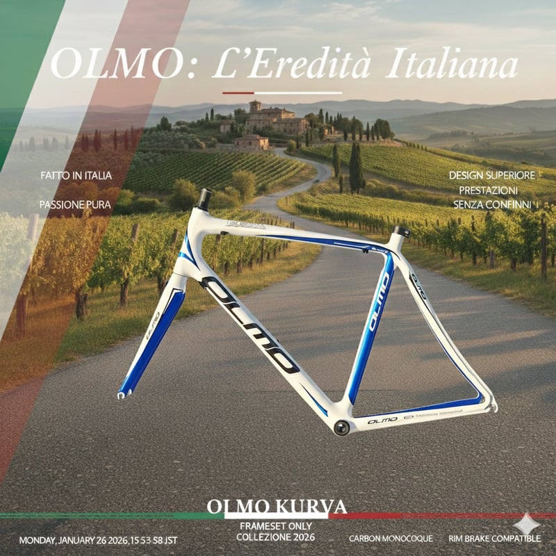 イタリア老舗ブランドOLMO🇮🇹カーボンロードバイクフレームXXLサイズ