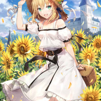 でぶねこ食堂（Fate Sketch10）【同人誌】