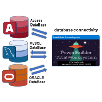 PTW:PowerBuilder Totalworksystem2024 正規版(有料)(PowerBuilder10版ﾗﾝﾀｲﾑ)