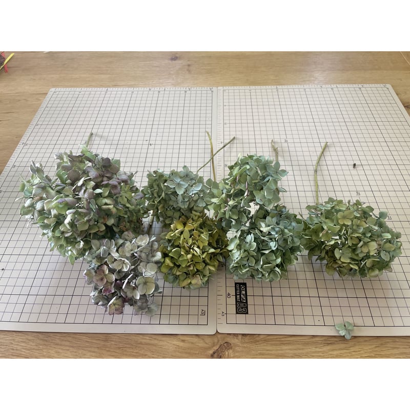 紫陽花　ドライフラワー　60本 ⑤紫陽花ドライフラワー・茎付き7本・色MIX ・60サイズ | morinowa's STORE