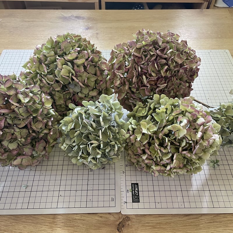 6.アンティーク紫陽花スワッグ 1.アンティーク紫陽花スワッグ