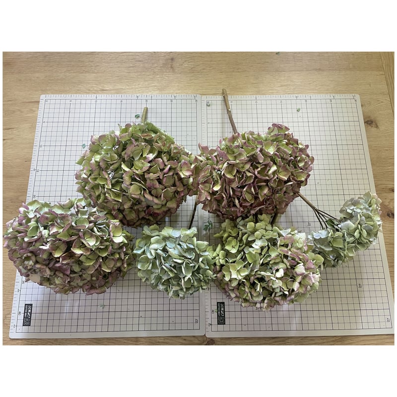 ⑩紫陽花ドライフラワー・茎付き6本・色MIX (西安のみアンティーク