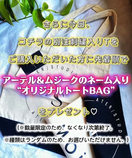 テラスオリジナル｜TERRACEプラチナムＴ