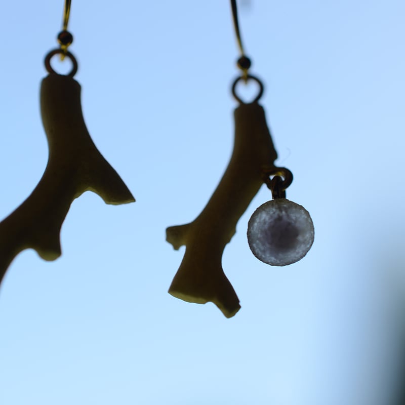 Grape agate/葡萄状瑪瑙 珊瑚と鉱物ピアス | あいのて