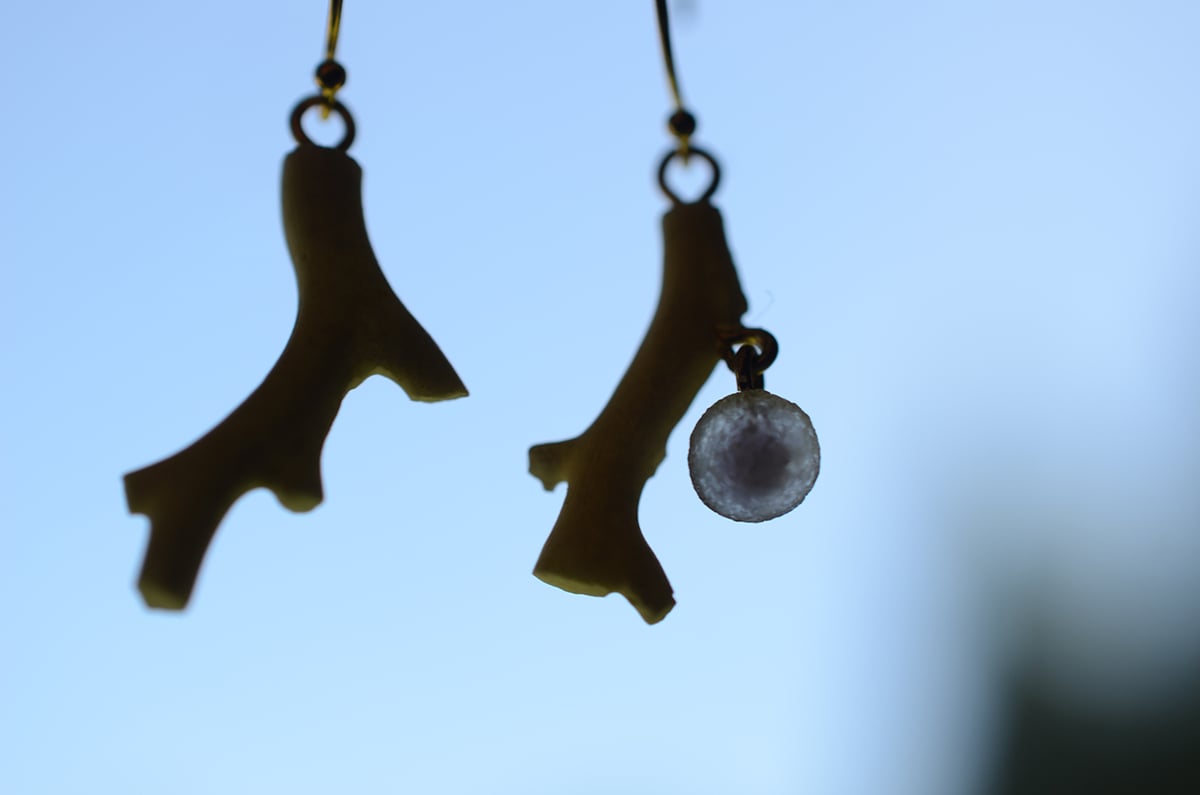 Grape agate/葡萄状瑪瑙 珊瑚と鉱物ピアス | あいのて