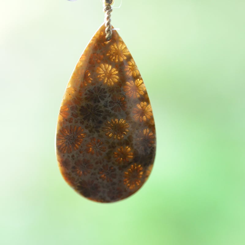 Fossil Coral/化石珊瑚 自然染めシルク首飾り | あいのて