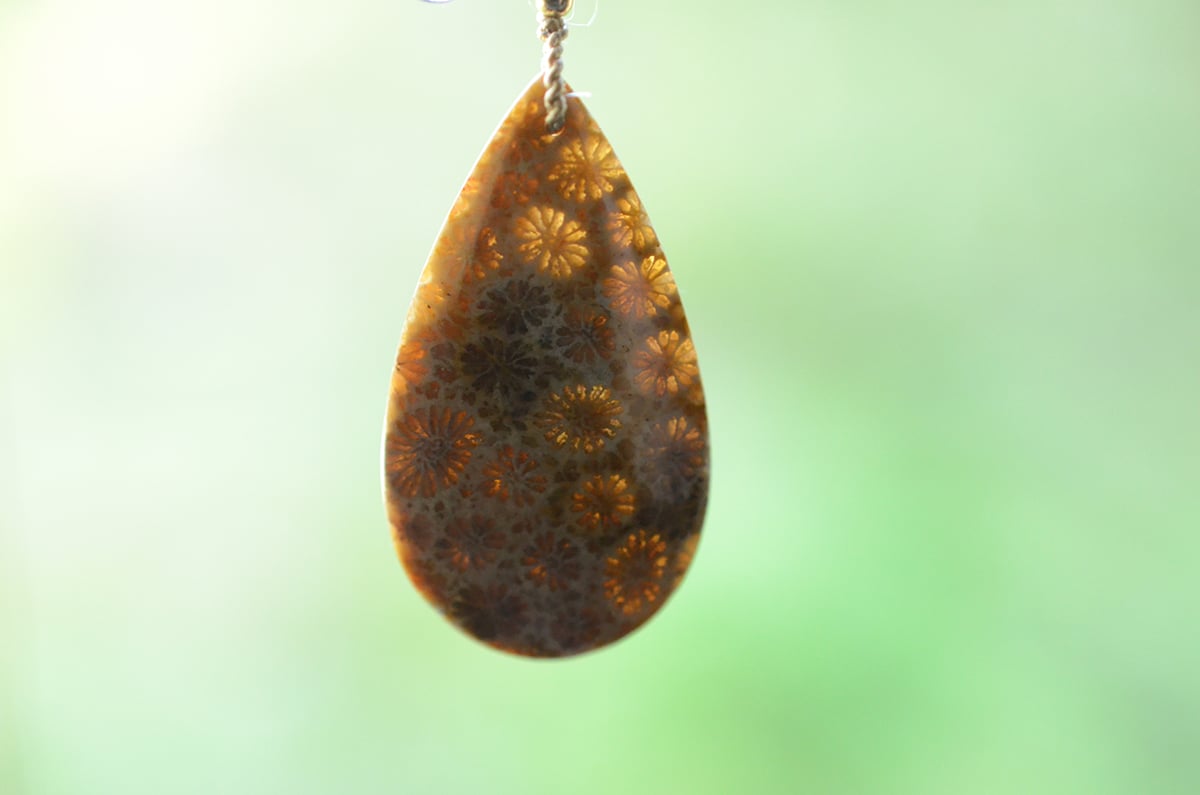 Fossil Coral/化石珊瑚 自然染めシルク首飾り | あいのて