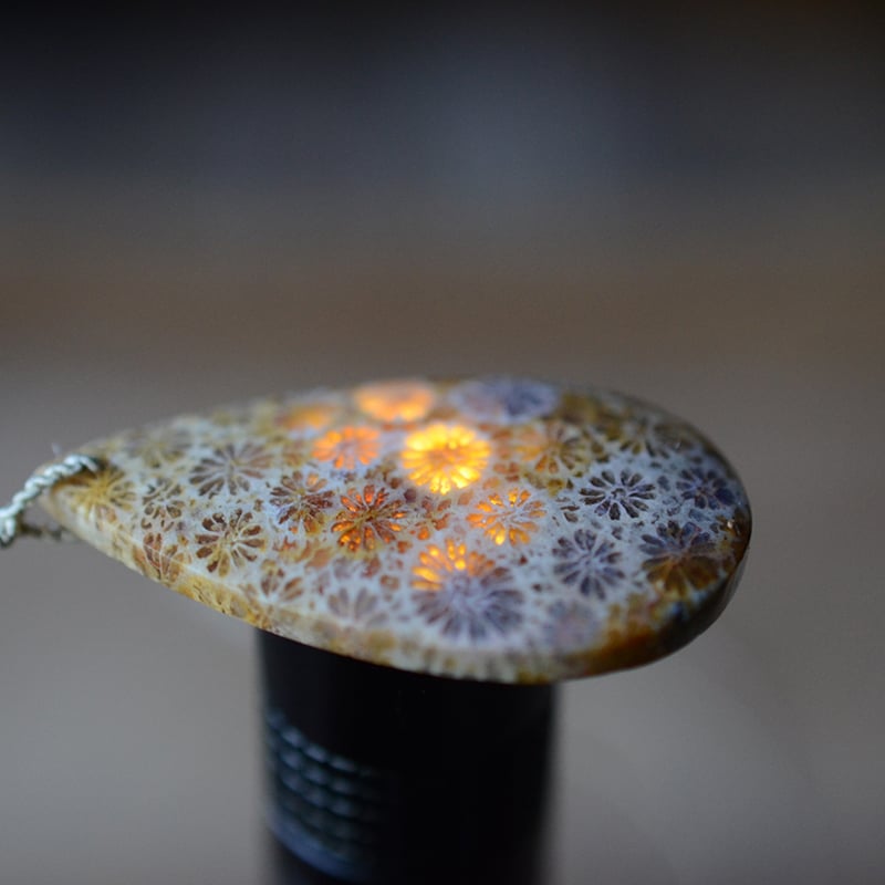 Fossil Coral/化石珊瑚 自然染めシルク首飾り | あいのて