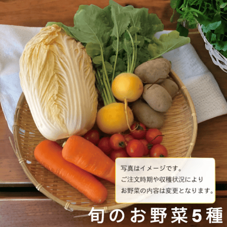 旬のお野菜セット5種類入り（定期便）