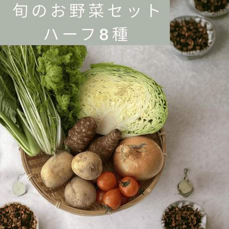 旬のお野菜セット8種類入り（ハーフサイズ）