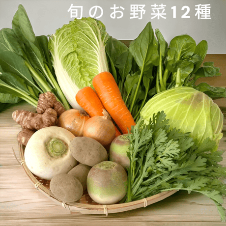 旬のお野菜セット12種類入り（定期便）