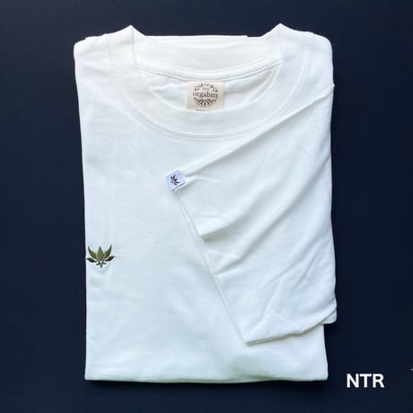 AXXE Classic Organic Cotton T-shirt