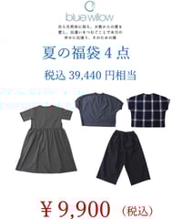 bluewillow　夏の福袋
