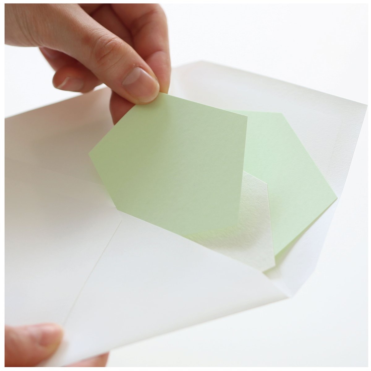 Hashikko Cards + Envelope Spring | ARU Shop（デザ