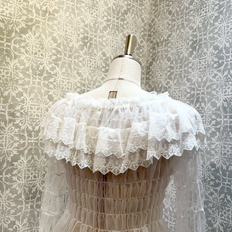 ATELIER-PIERROT】 Sheer Off-Shoulder Shirring B