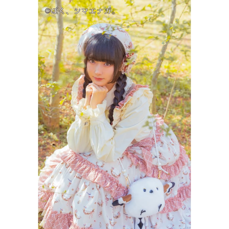 星箱Works】 ぼく、シマエナガ。 x HoshibakoWorks Collaborat