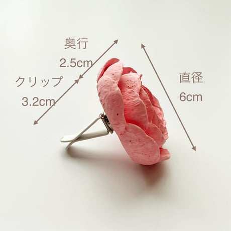 🔴ラナンキュラス【カーディフューザー】チェリー