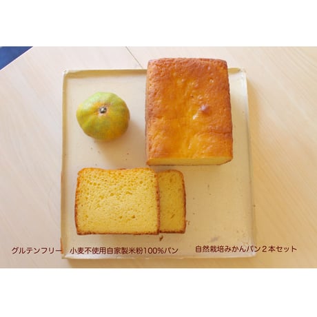 グルテンフリー　米粉100%パン　自然栽培みかんパン 1本【冷凍】