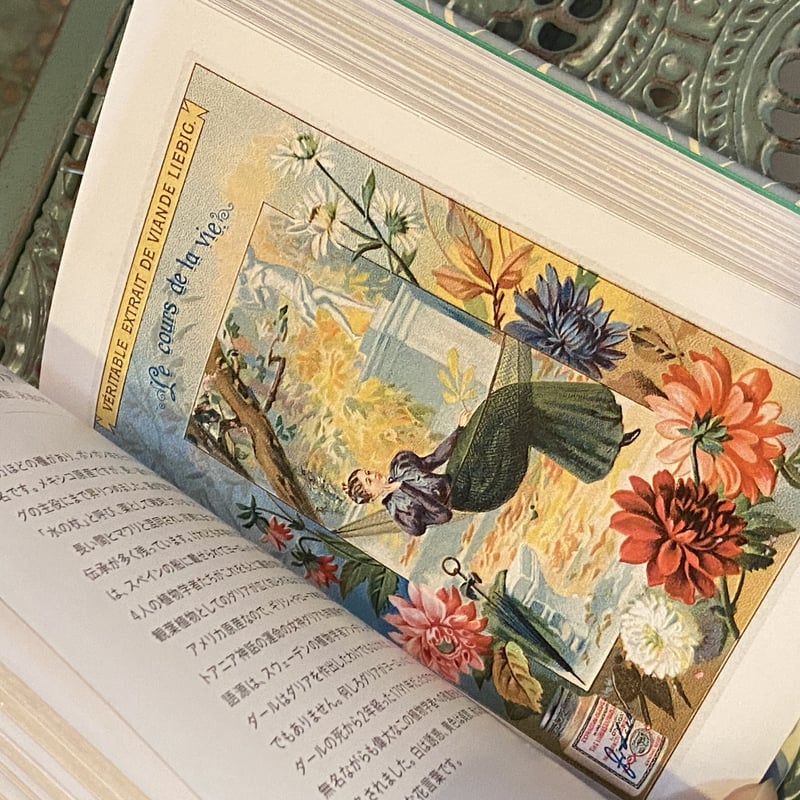 JūliusA486 ちいさな手のひら事典 花言葉 ジャンクジャーナル JūliusA486 ちいさな手のひら事典 花言葉 ジャンクジャーナル ちいさな