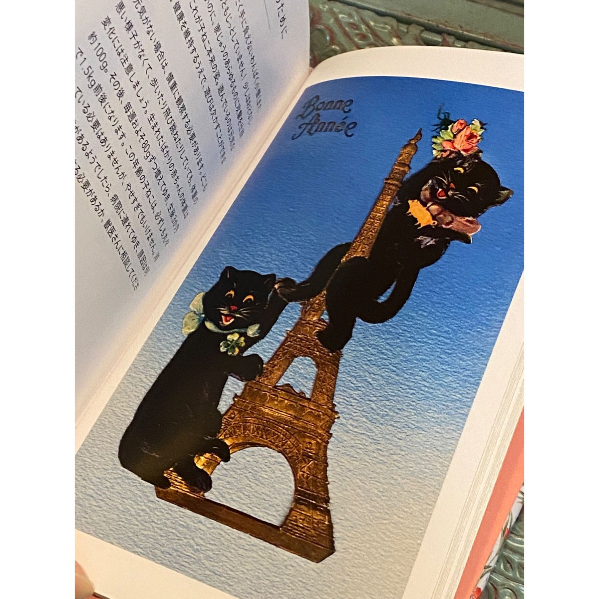 LE PETIT LIVRE DES CHATS ちいさな手のひら事典 ねこ c52b635d757bddbbd8f94daf0e4779