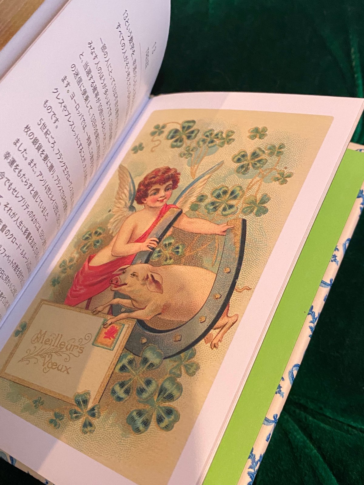 ちいさな手のひら事典 幸運を呼ぶもの おまもり おまじない 縁起物