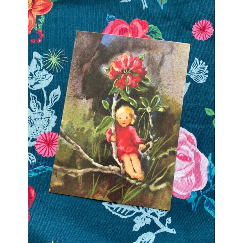 スイス製 『高山植物』 妖精 フェアリーズ 薔薇 ポストカード | 世界の