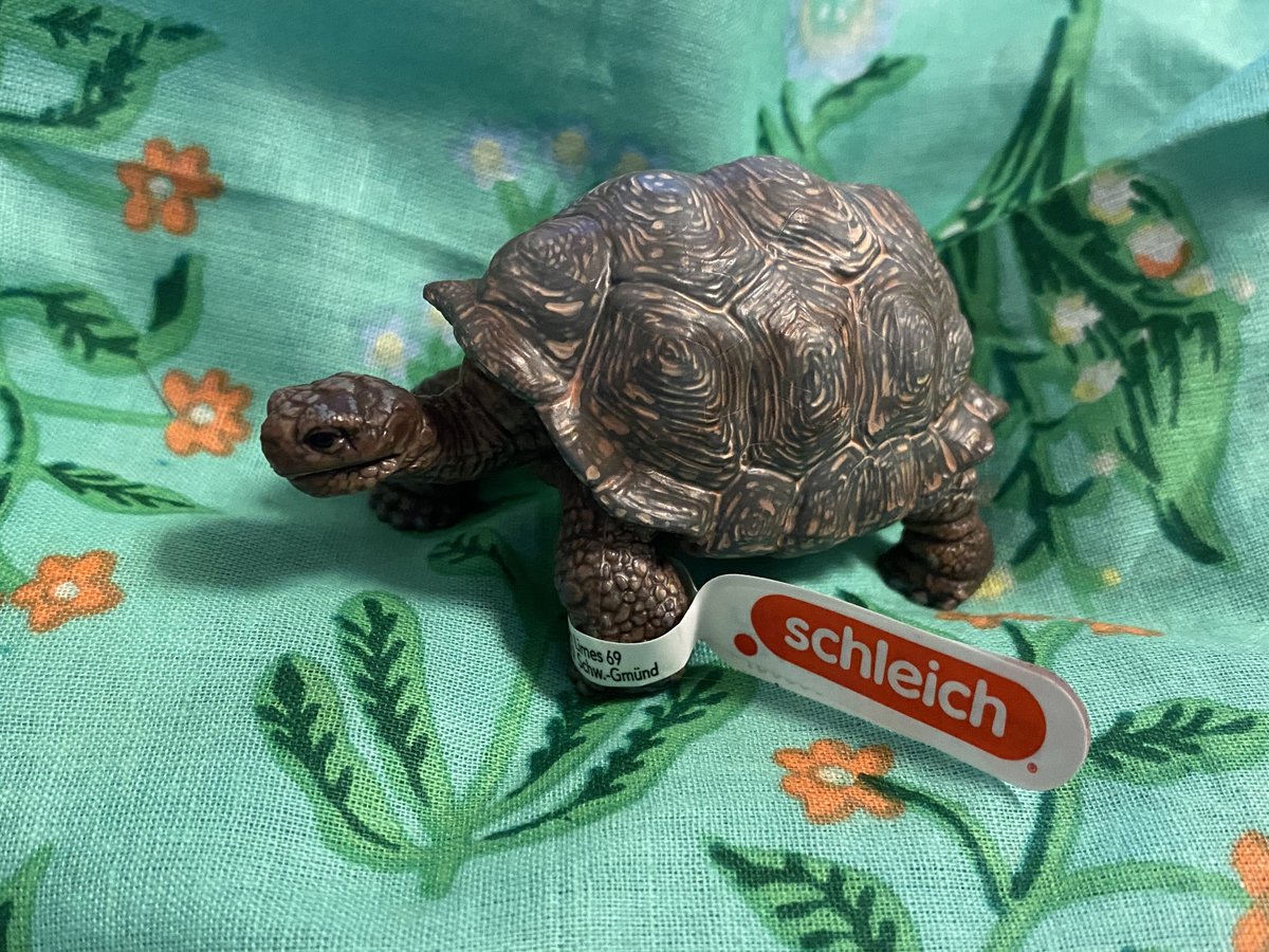 ドイツ フィギュア ゾウガメ 亀 カメ シュライヒ ミニチュア | 世界の