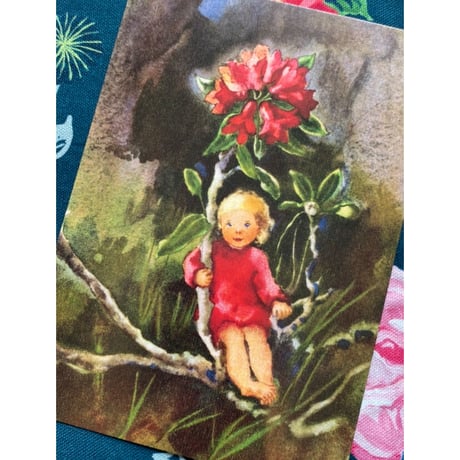 スイス製　『高山植物』　妖精　フェアリーズ　薔薇　ポストカード