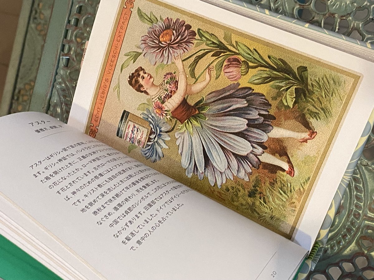 ちいさな手のひら事典 花言葉 妖精 フェアリーズ | 世界の猫祭コチ