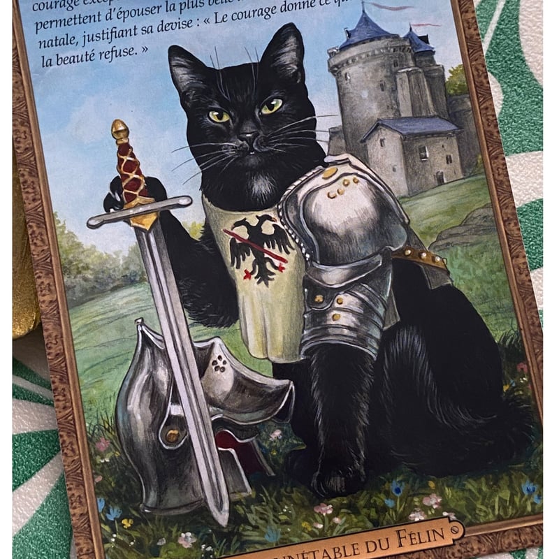 フランス製 騎士 ナイト 猫 黒猫 ポストカード | 世界の猫祭コチ