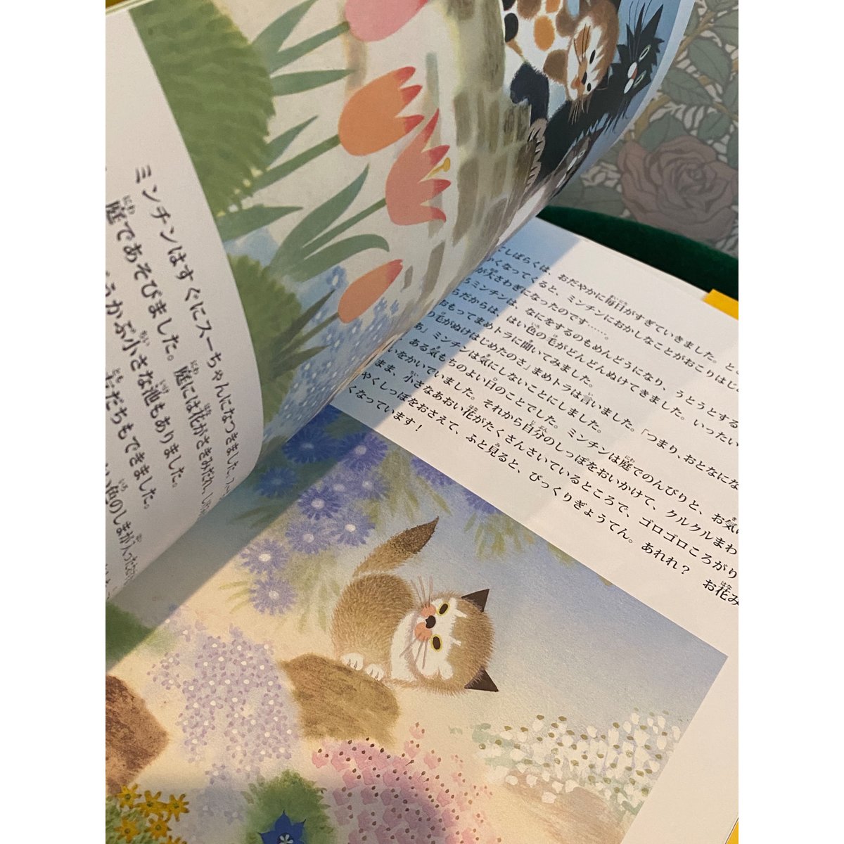 新品☆チェコ絵本5冊 チェコ 絵本 あおねこちゃん ミレル クルテク 猫 ネコ | 世界の