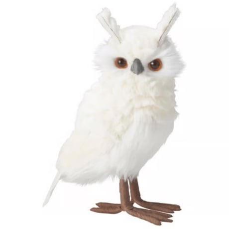 ミミズク | STORES