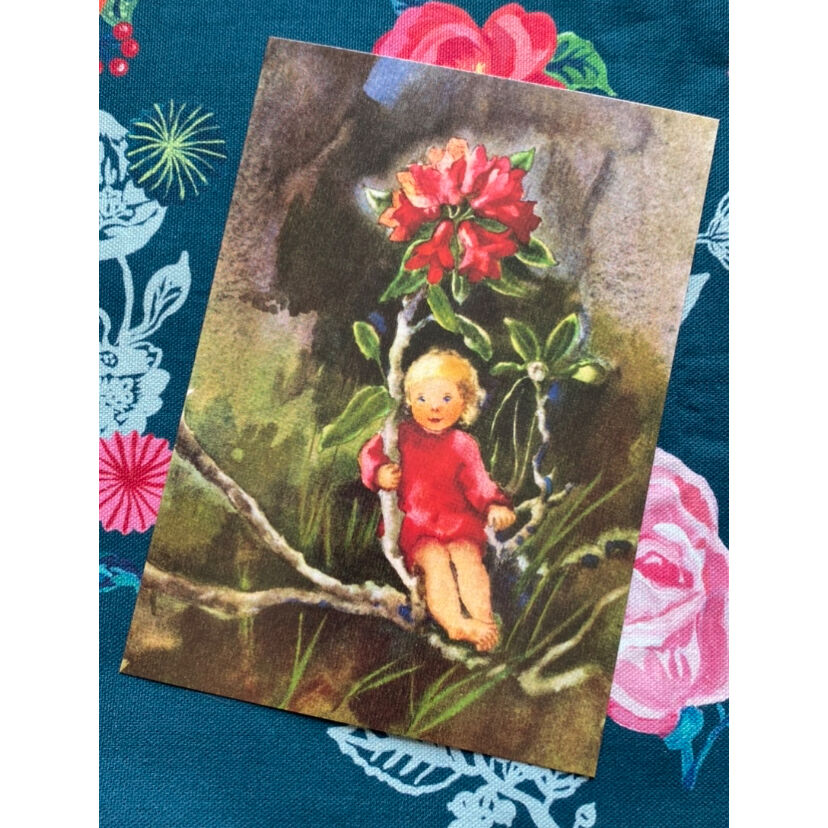 スイス製 『高山植物』 妖精 フェアリーズ 薔薇 ポストカード | 世界の