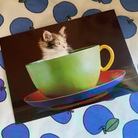 フランス ナタリーレテ 猫 フリーカップ 食器 ハチワレ 白猫 花 フランス ナタリーレテ 猫 フリーカップ 食器 ハチワレ 白猫 花