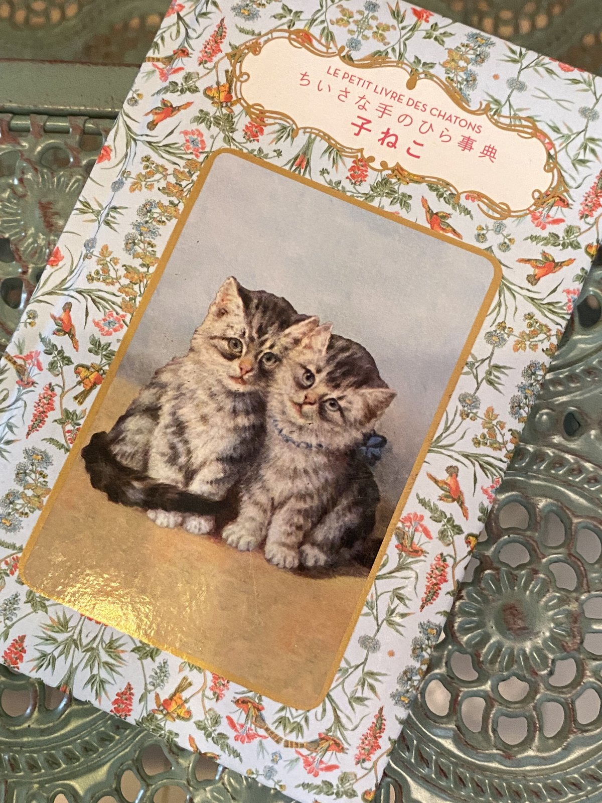 LE PETIT LIVRE DES CHATS ちいさな手のひら事典 ねこ 61Bhjozl1AS.jpg