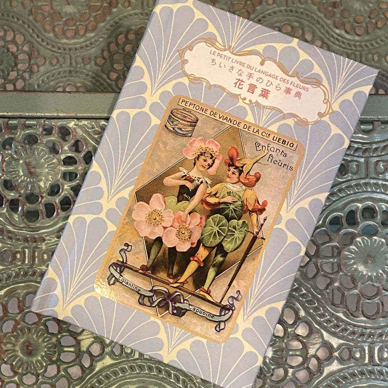 ちいさな手のひら事典 花言葉 妖精 フェアリーズ | 世界の猫祭コチ