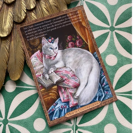 フランス製　ポンパドゥール夫人　白猫　猫　ポストカード