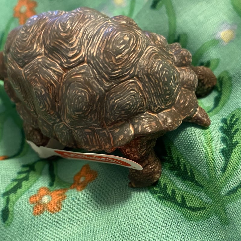 亀のフィギュア Amazon | EUHELOPA 亀 フィギュア 19種類 海洋動物 おもちゃ