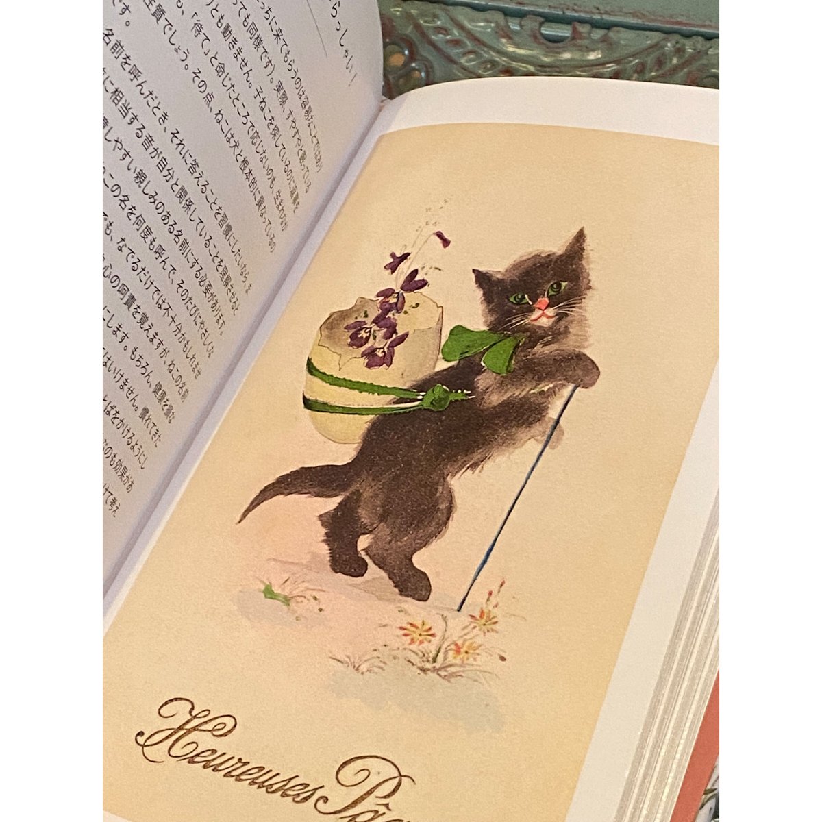 LE PETIT LIVRE DES CHATS ちいさな手のひら事典 ねこ c52b635d757bddbbd8f94daf0e4779