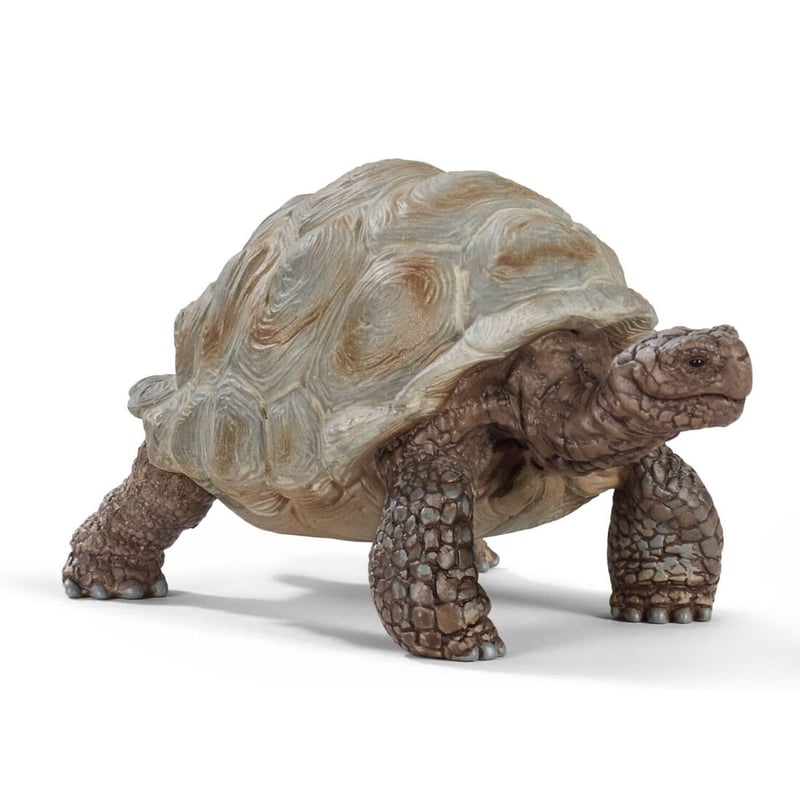 ドイツ フィギュア ゾウガメ 亀 カメ シュライヒ ミニチュア
