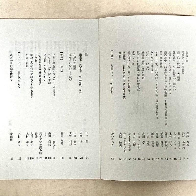 詩誌 汽水域2 | しろねこ書店