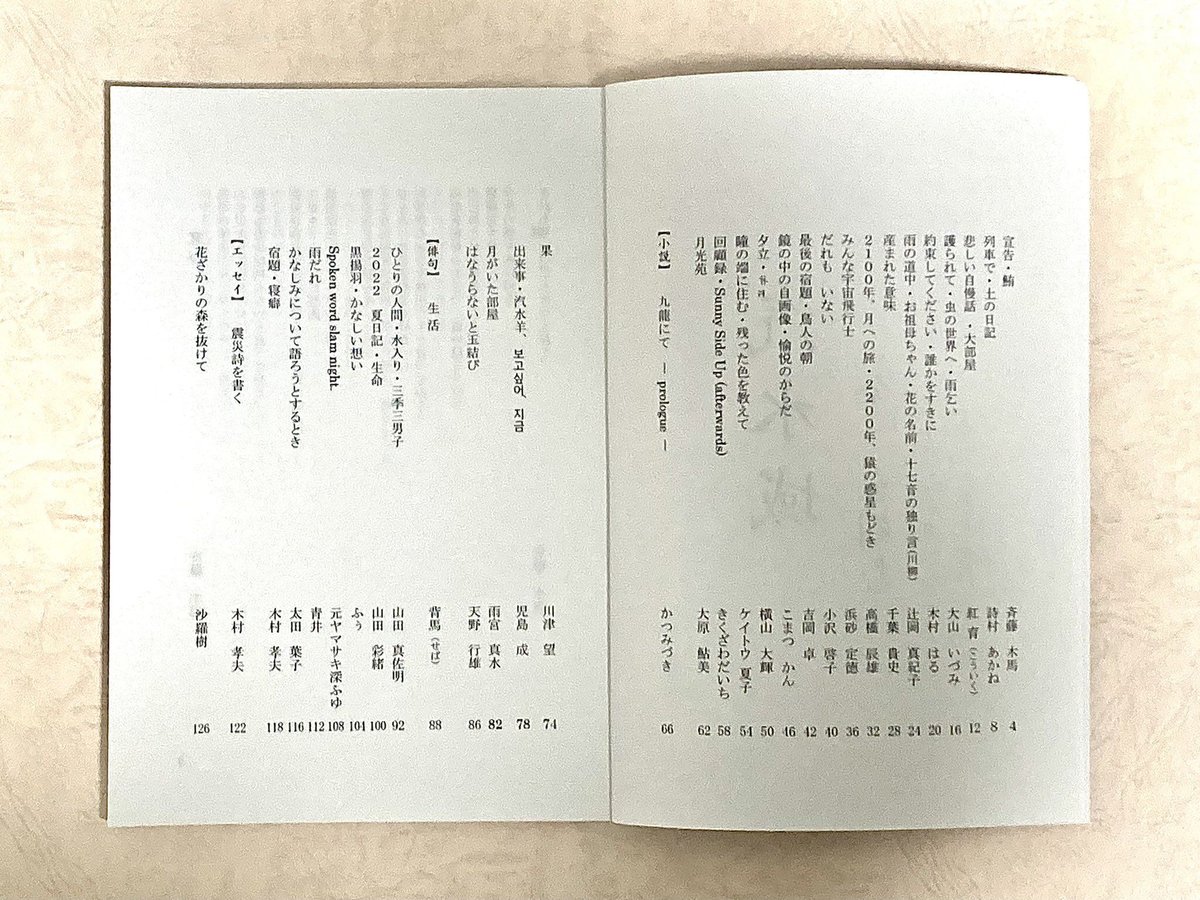 詩誌 汽水域2 | しろねこ書店